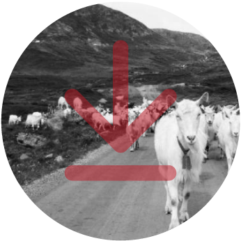 BOND-repository_norway_Norwegian-Agricultural-Cooperatives