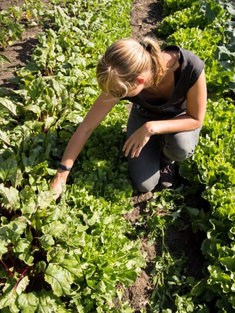 Federation of Agroecological Farmers