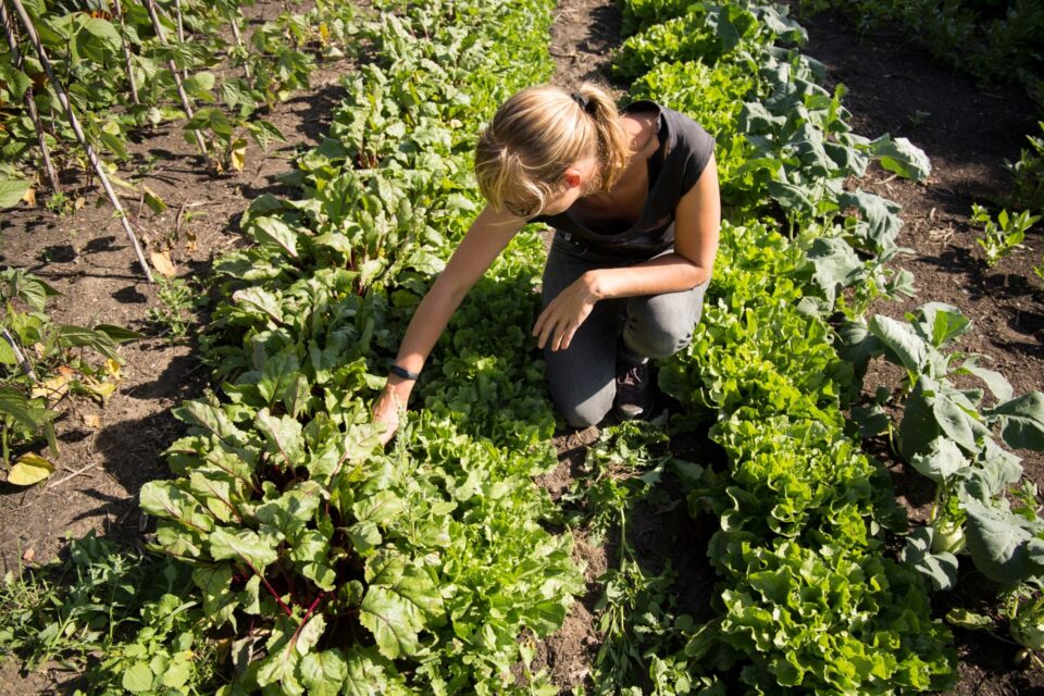 Federation of Agroecological Farmers